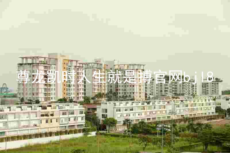 尊龙凯时人生就是搏官网bjl8