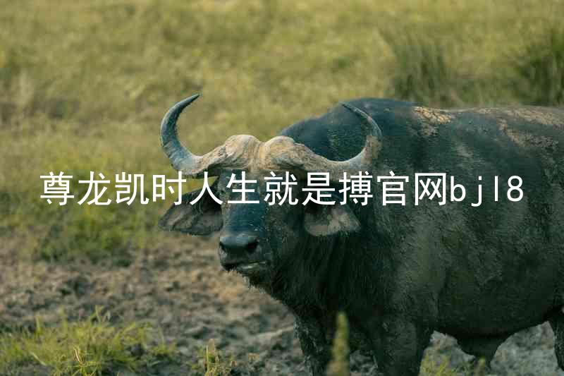 尊龙凯时人生就是搏官网bjl8