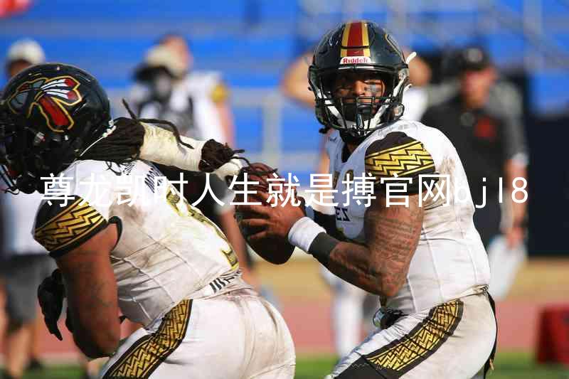 尊龙凯时人生就是搏官网bjl8