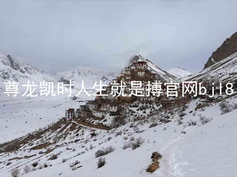 尊龙凯时人生就是搏官网bjl8