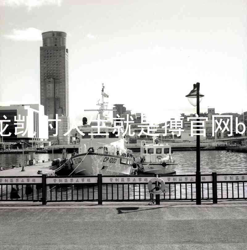 尊龙凯时人生就是搏官网bjl8