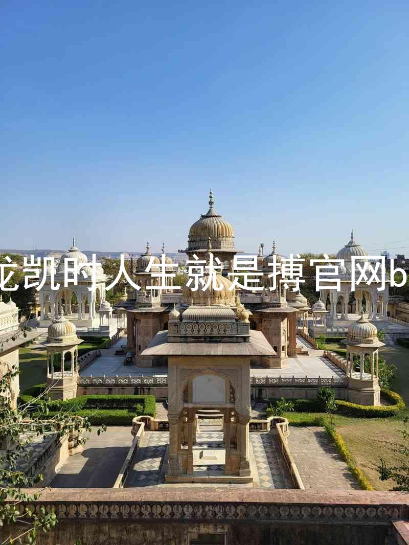 尊龙凯时人生就是搏官网bjl8