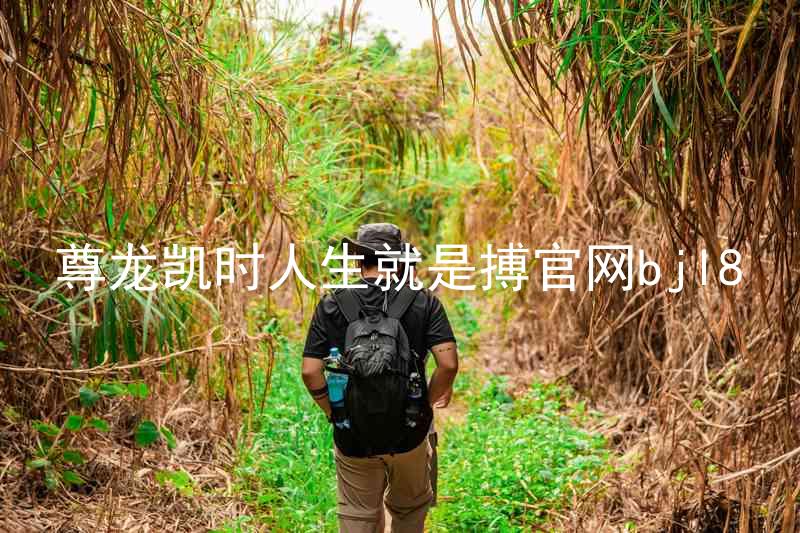 尊龙凯时人生就是搏官网bjl8